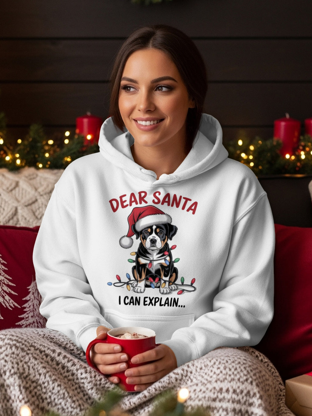 Dear Santa I Can Explain Christmas-Themed Hoodie