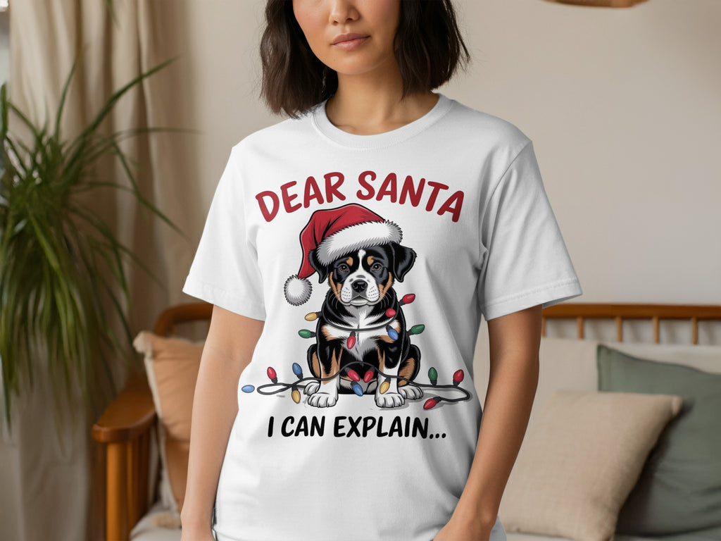 Dear Santa I Can Explain Christmas T-Shirt