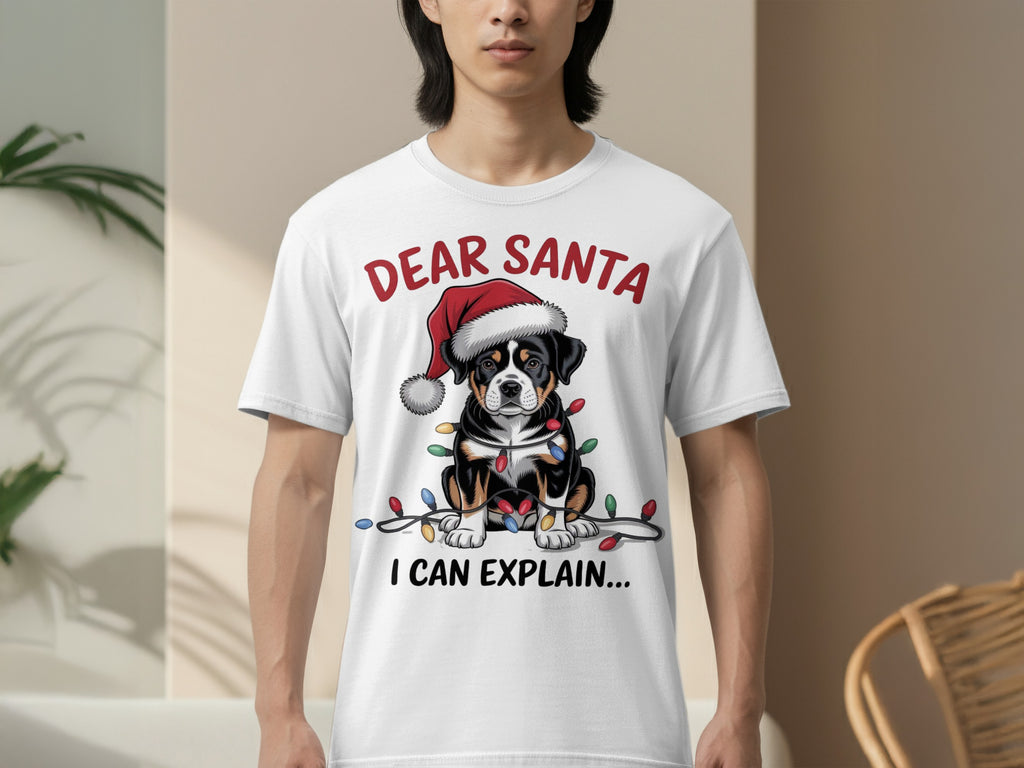 Dear Santa I Can Explain Christmas T-shirt