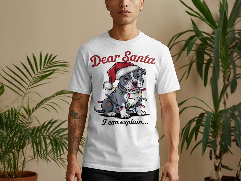 Dear Santa I Can Explain Funny Christmas T-shirt