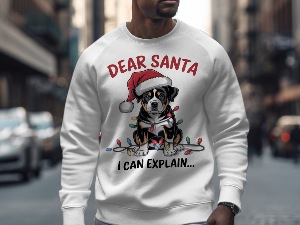 Dear Santa I Can Explain Christmas Sweatshirt