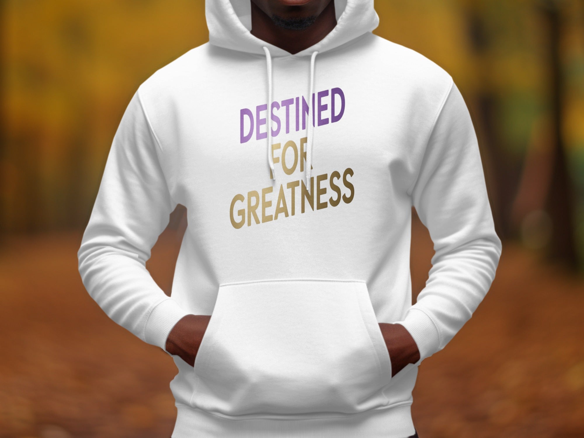 Destined for Greatness Statement Hoodie Product