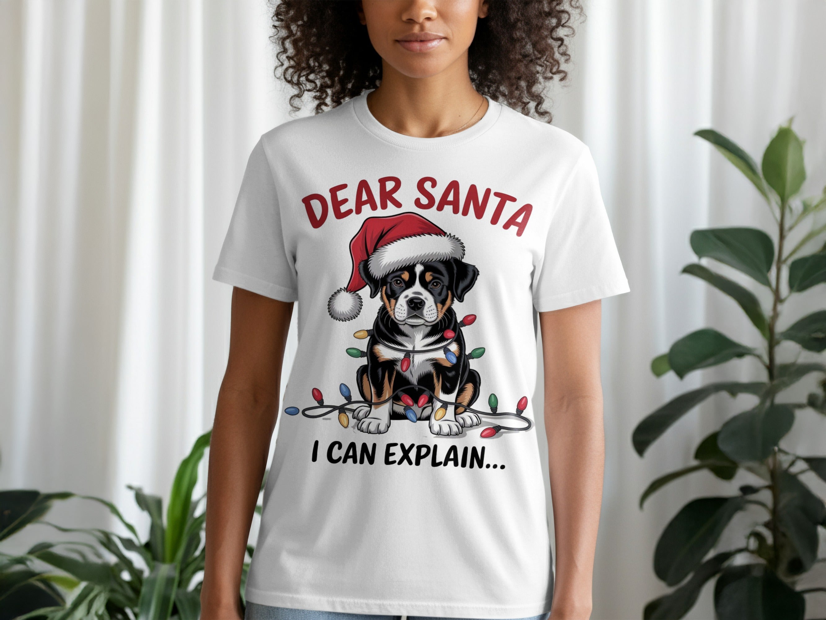 Dear Santa I Can Explain T-shirt