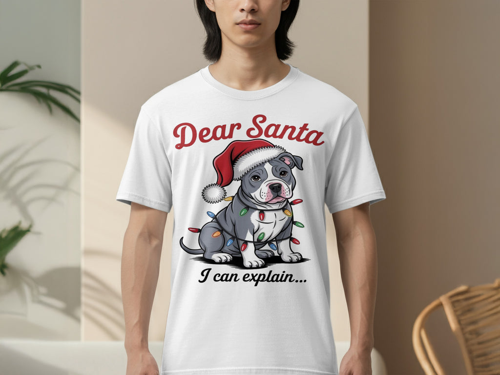 Dear Santa I Can Explain Funny Christmas Shirt