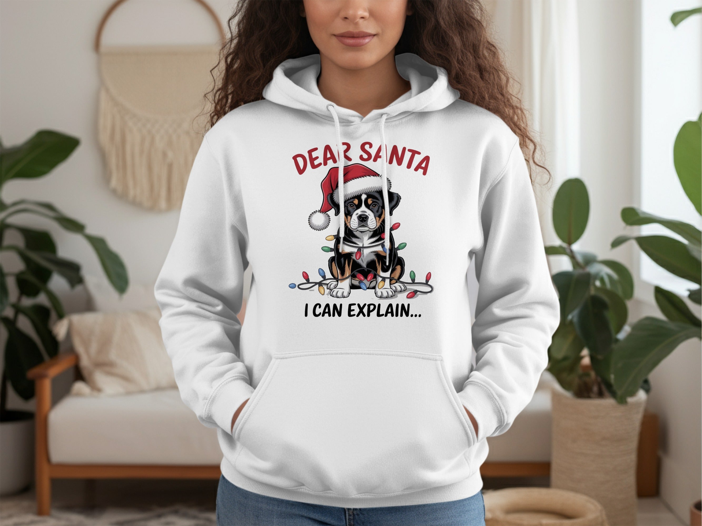 Dear Santa I Can Explain Hoodie with Festive Dog Design