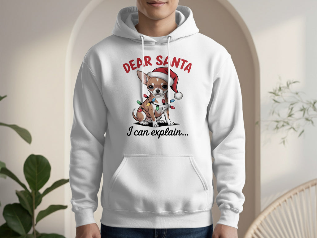Dear Santa I Can Explain Cute Holiday Hoodie