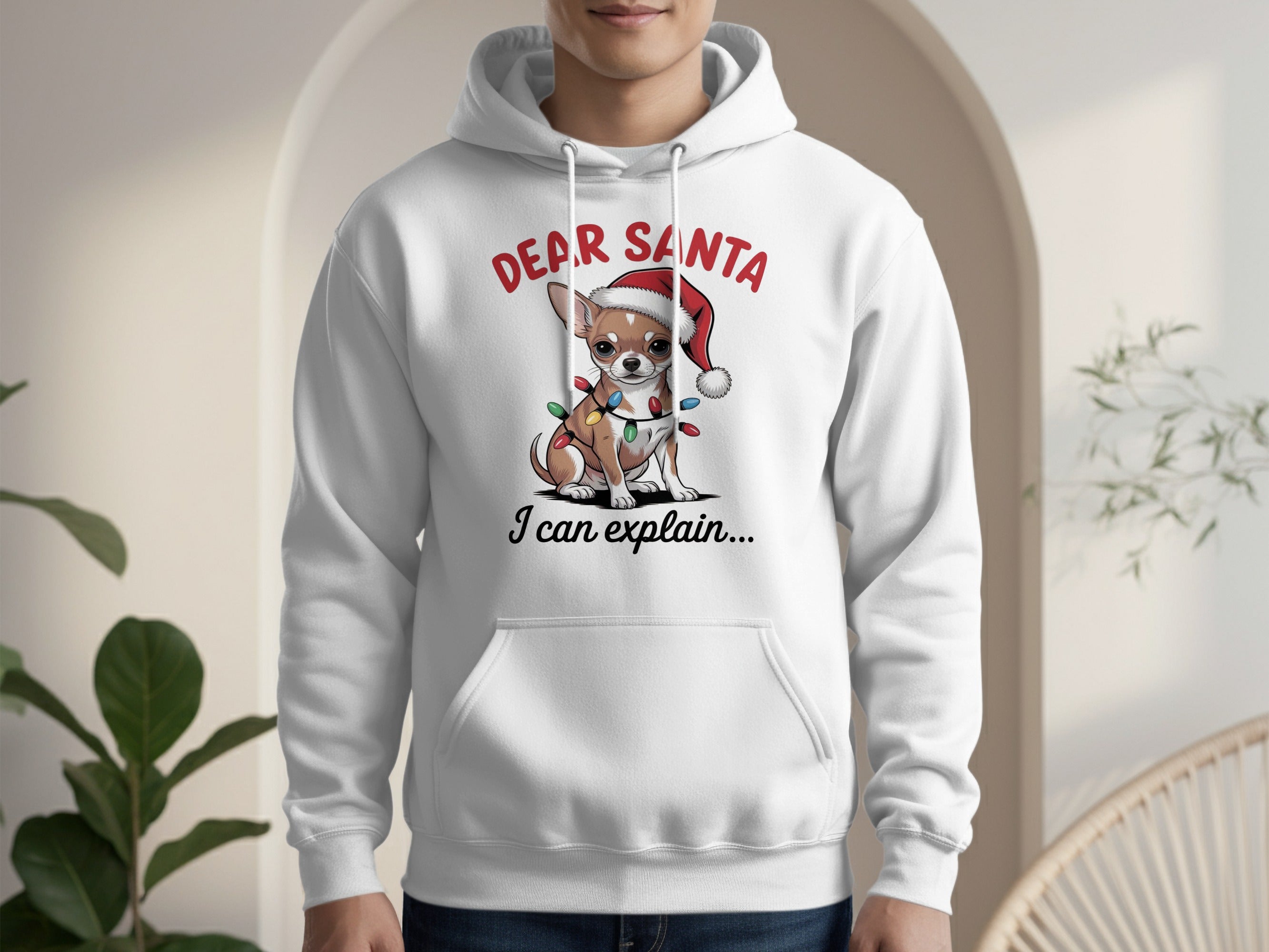 Dear Santa I Can Explain Cute Holiday Hoodie