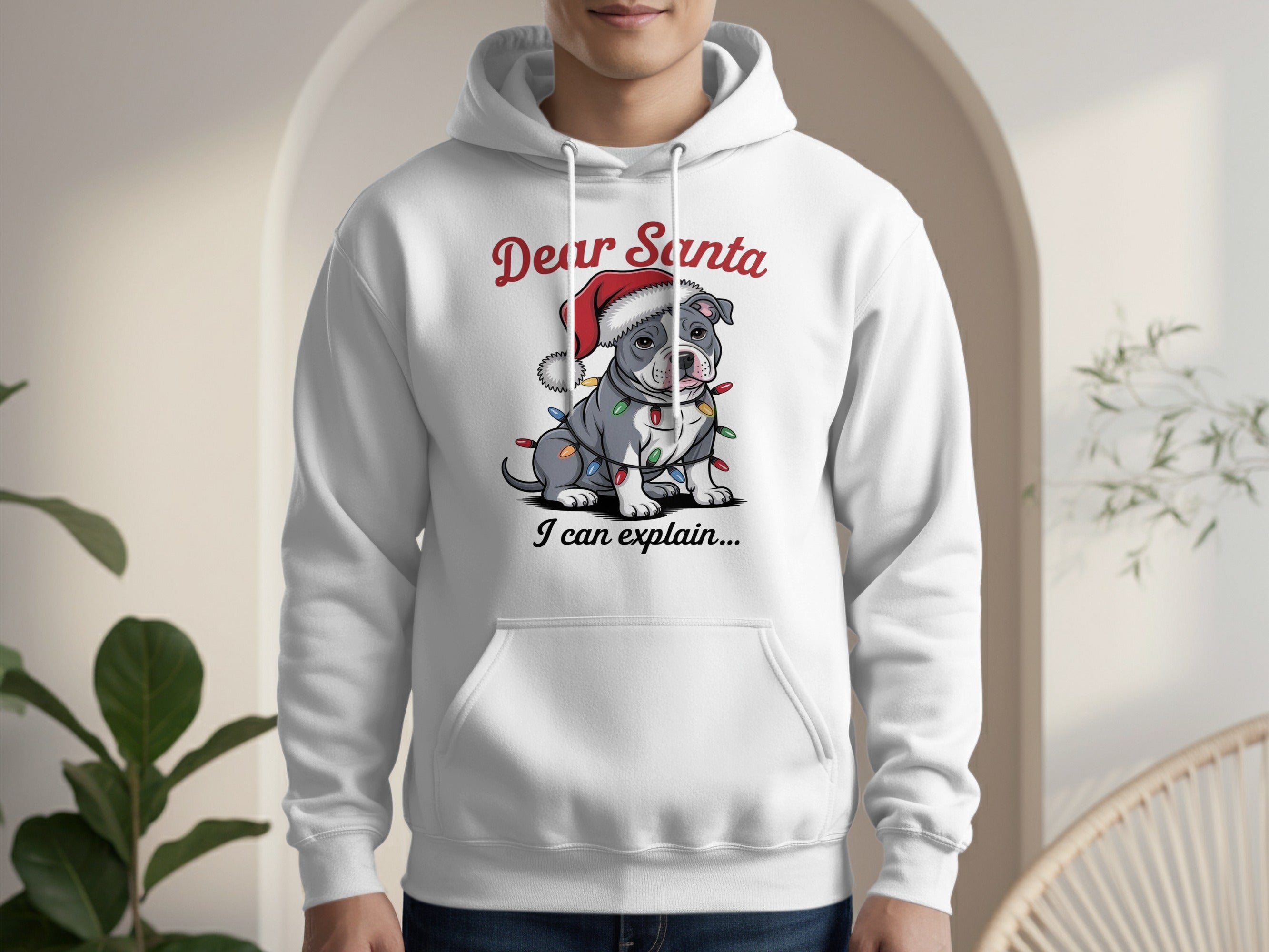 Dear Santa I Can Explain Festive Holiday Hoodie