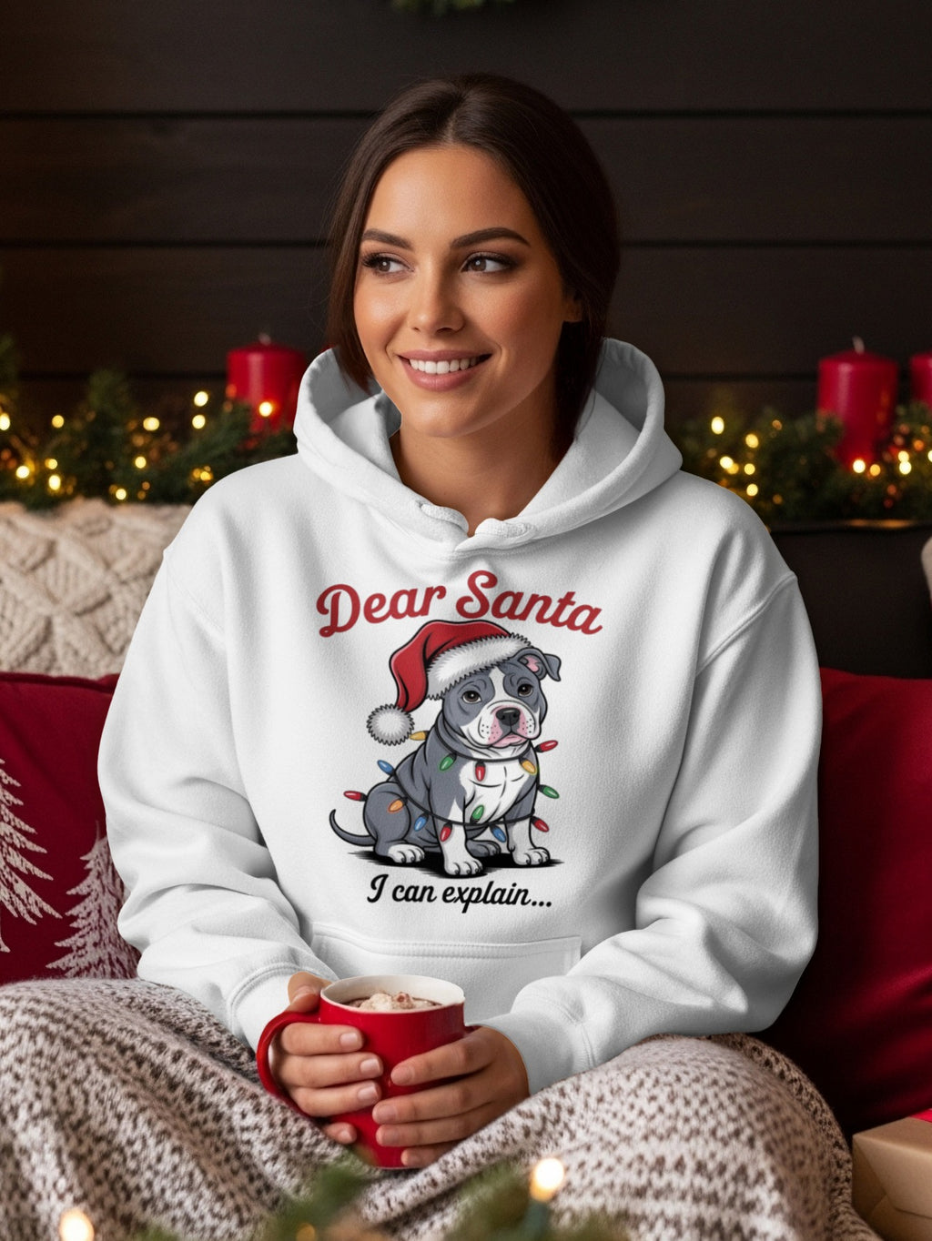 Dear Santa I can explain Holiday Hoodie