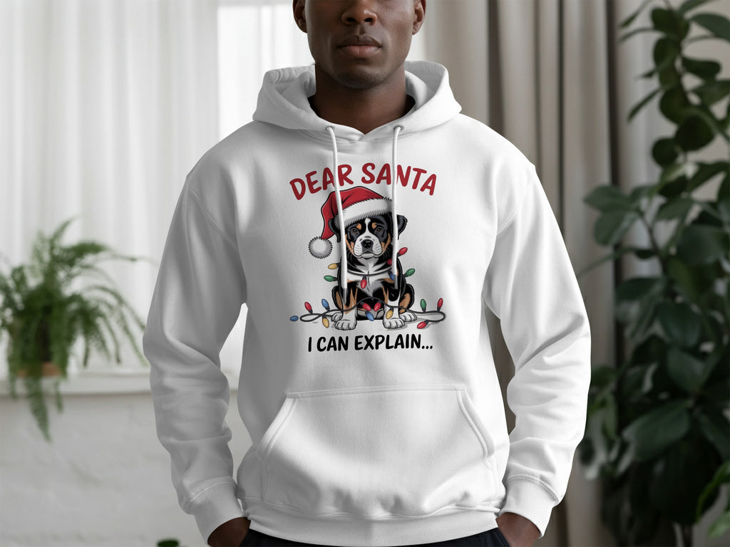 Dear Santa I Can Explain Funny Christmas Hoodie