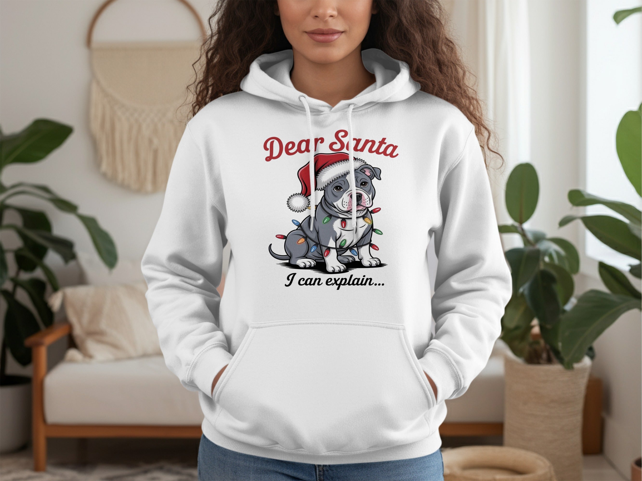 Dear Santa I Can Explain Adorable Hoodie Product